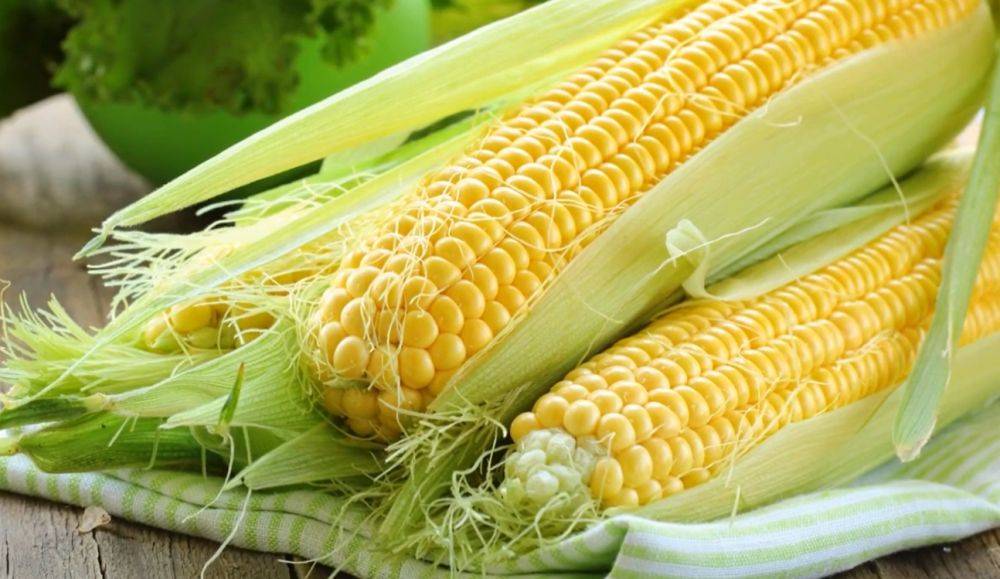 Не дайте себя обмануть: как отличить сладкую кукурузу от кормовой. Простые хитрости