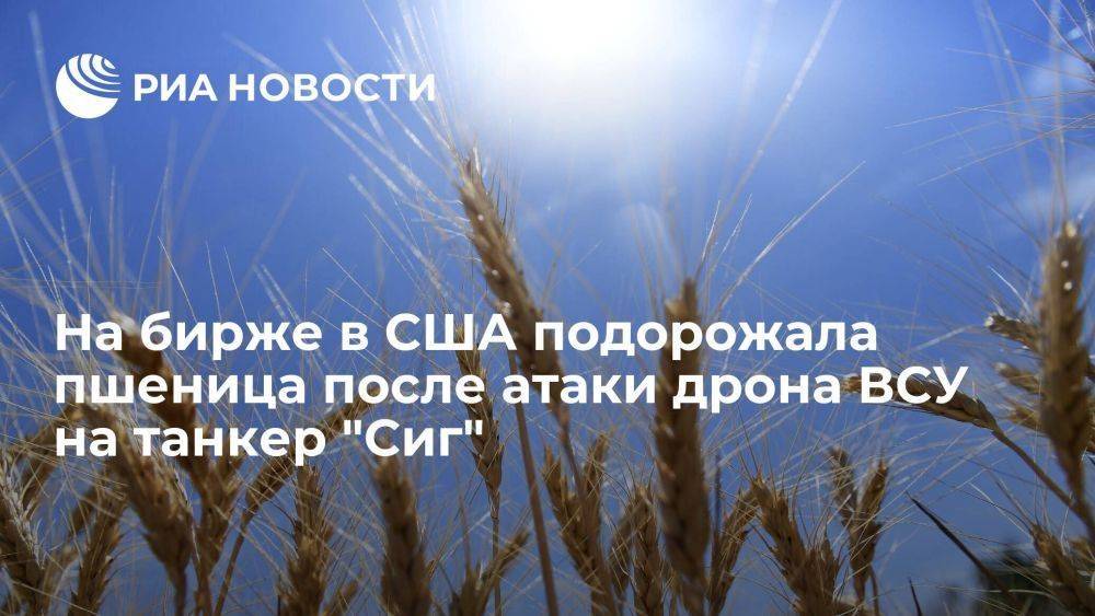 На бирже Чикаго подорожала пшеница после атаки украинского БПЛА на российский танкер "Сиг"