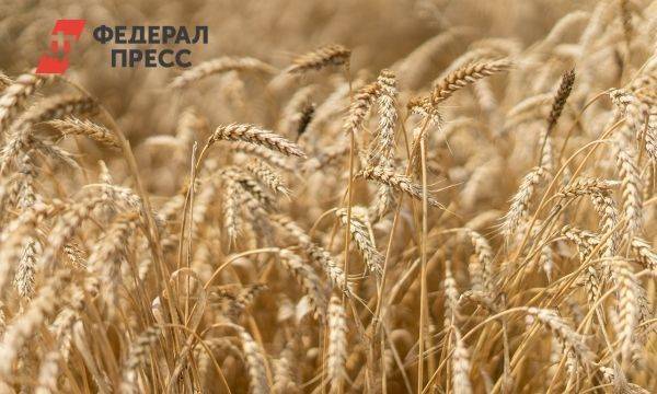 Госдеп попросил Россию разъяснить условия возобновления зерновой сделки