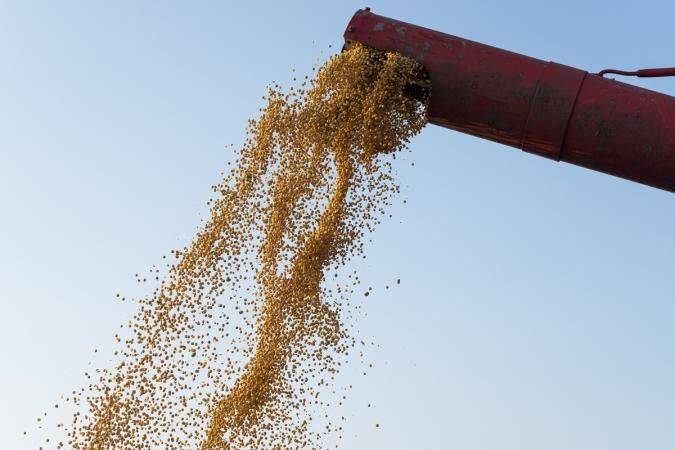 россия украла почти 6 миллионов тонн собранного в прошлом году украинского зерна — Конгресс США