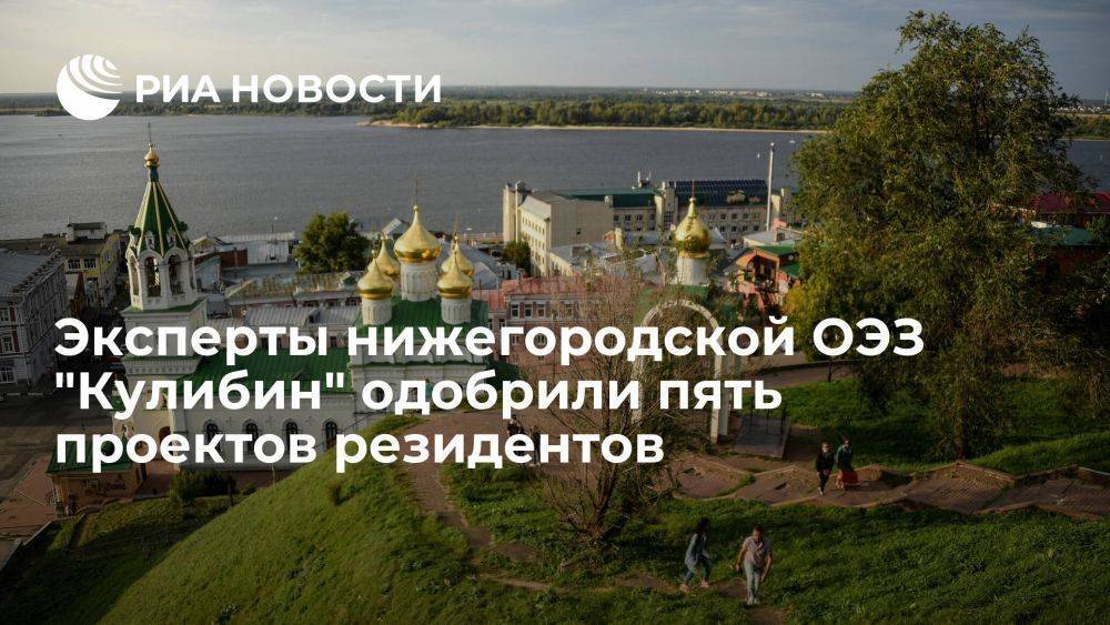 Эксперты ОЭЗ "Кулибин" одобрили пять проектов на семь миллиардов рублей