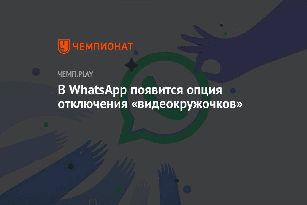 В WhatsApp появится опция отключения «видеокружочков»