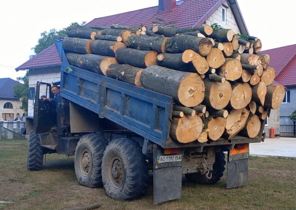 Позаботьтесь об этом заранее: украинцы могут получить бесплатные дрова на зиму. Что нужно знать