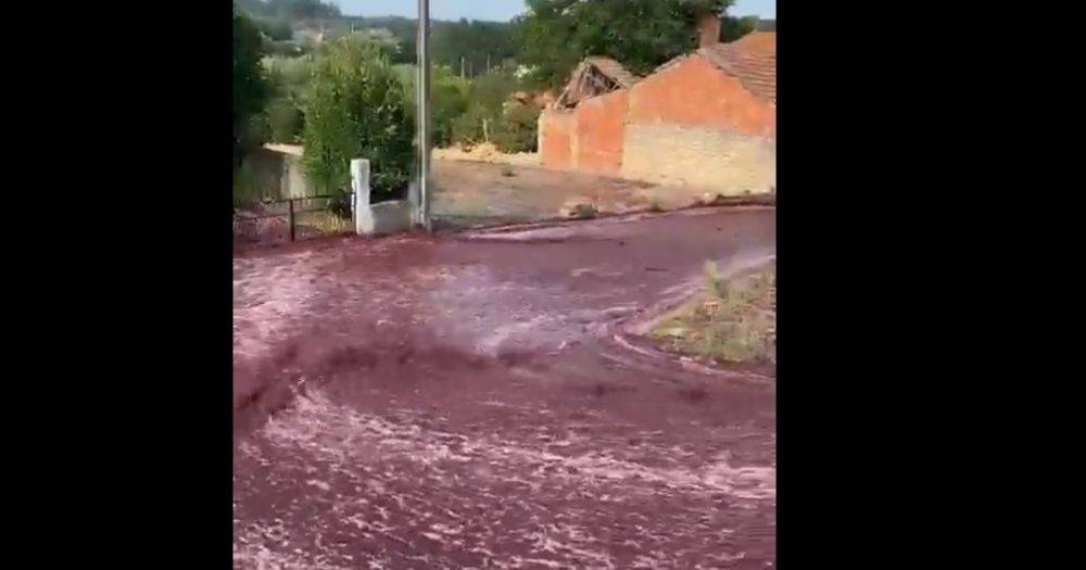 Красные реки: в Португалии вино затопило улицы города (видео)