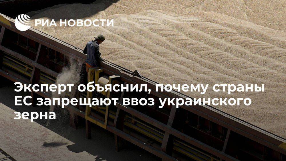 Хачатурян: запрещая ввоз зерна с Украины, страны ЕС действуют в своих интересах