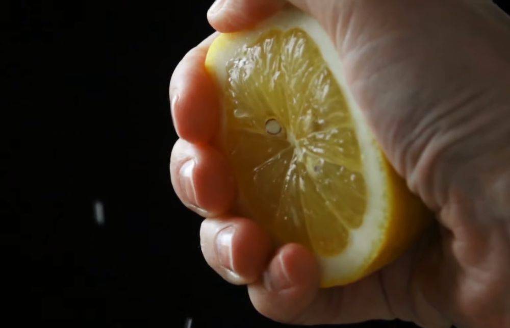 Скажем плесени "не сегодня": как правильно хранить лимоны, чтобы они долго не портились