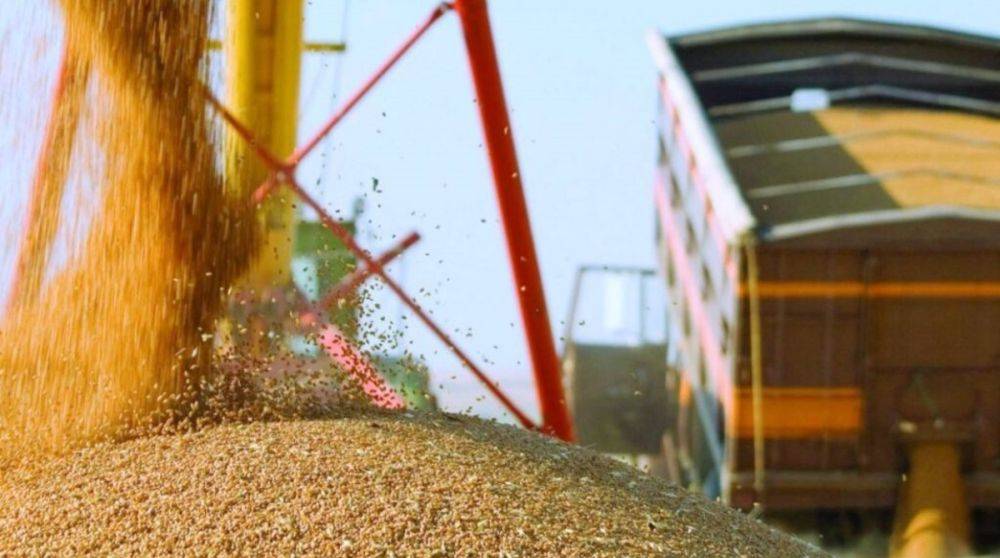 В МИД назвали пять причин для отмены эмбарго на импорт украинского зерна