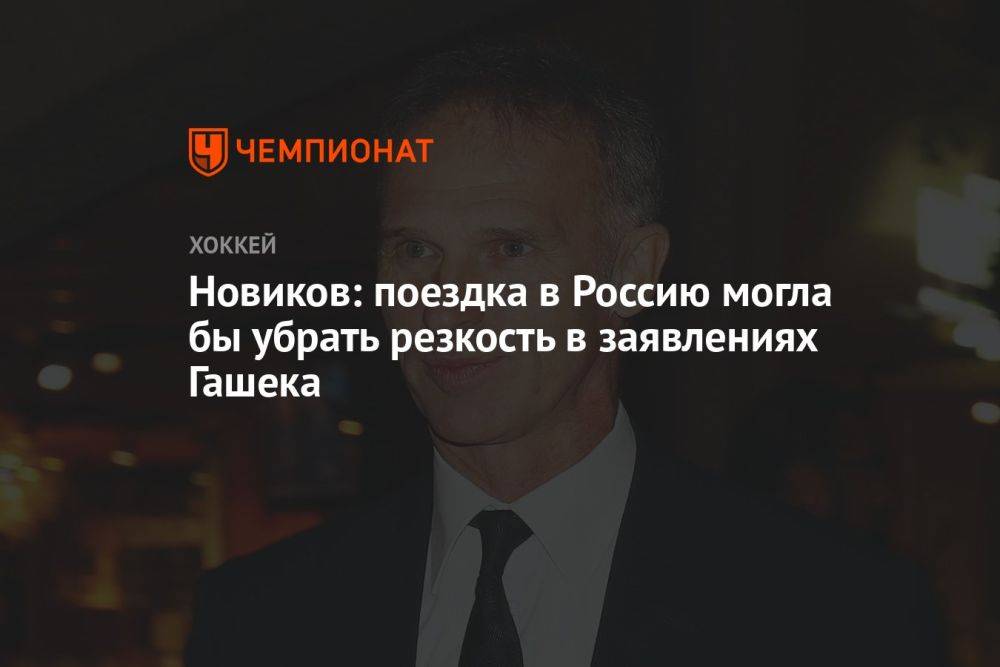 Новиков: поездка в Россию могла бы убрать резкость в заявлениях Гашека