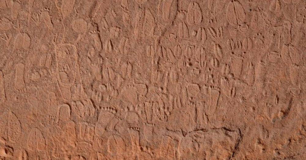 Мастерство древних граверов. Наскальные рисунки каменного века в Намибии невероятно детализированы