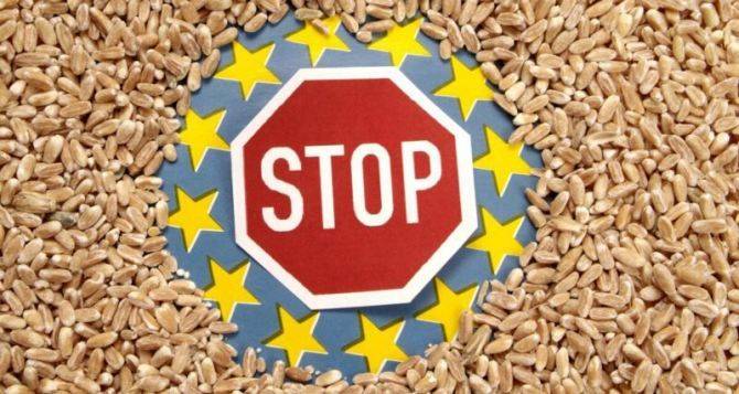 Три страны Евросоюза продлили эмбарго на украинское зерно несмотря на решение Брюсселя