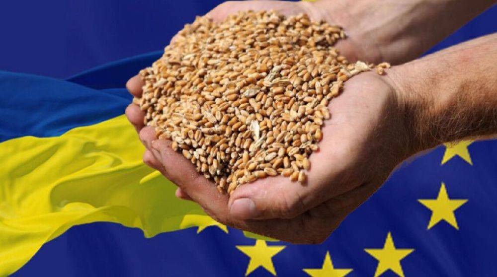 Премьер Болгарии назвал «террористами» протестующих против импорта украинского зерна
