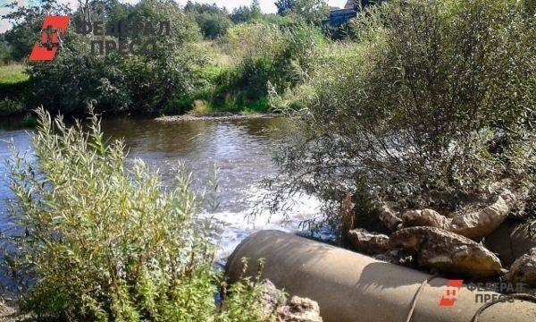 Фирма свердловского экс-вице-мэра заплатит 159 миллионов за отравленное болото