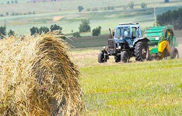 В Гомельской области проходят беспрецедентные чистки в аграрном секторе