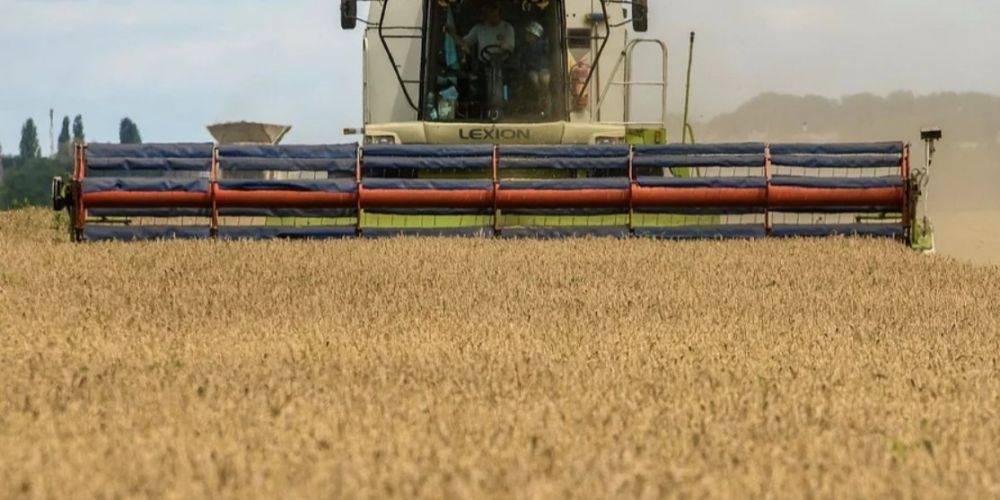 Запрет на импорт украинского зерна обходится Киеву более чем в $175 млн в месяц — Всеукраинской аграрный совет