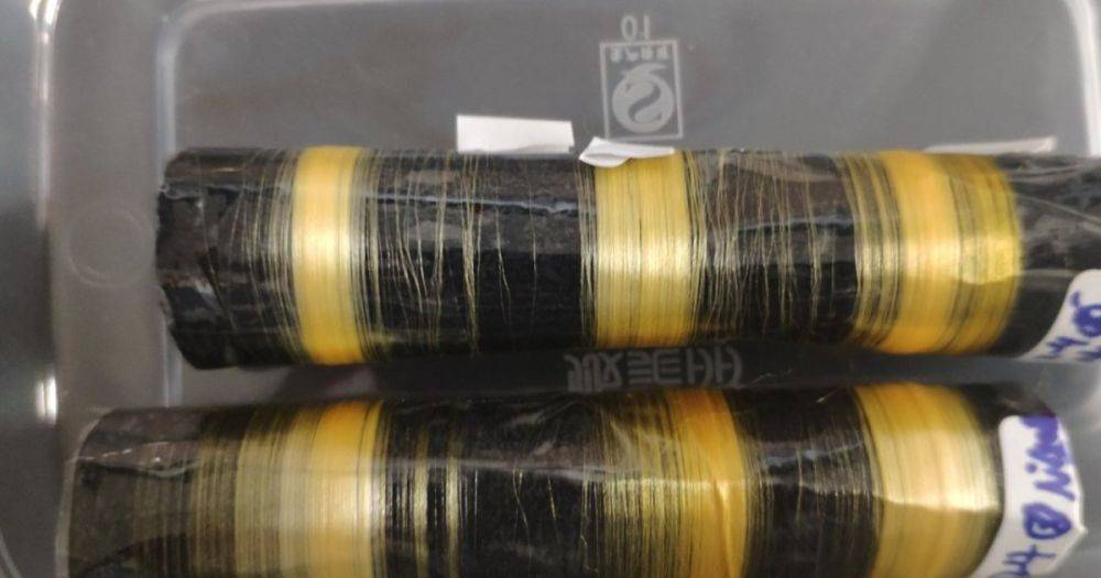Китайские ученые получили новое волокно на основе паутины и шелка: оно в 6 раз прочнее кевлара (фото)