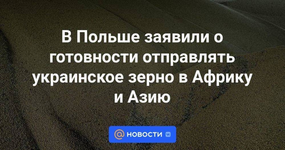 В Польше заявили о готовности отправлять украинское зерно в Африку и Азию