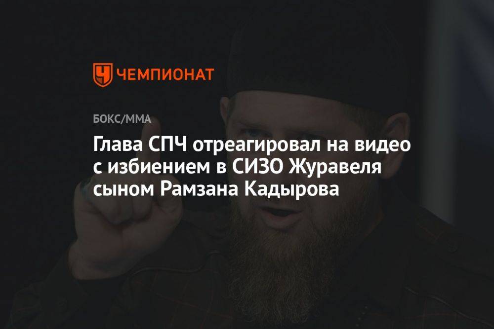 Глава СПЧ отреагировал на видео с избиением в СИЗО Журавеля сыном Рамзана Кадырова