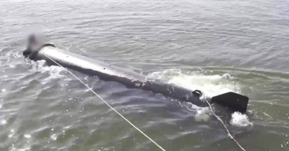 В Украине провели испытания нового подводного беспилотника "Маричка" (видео)
