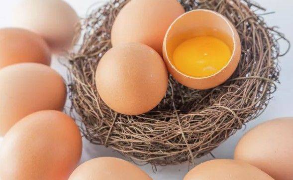 Будьте предельно внимательны: сколько можно съедать яиц, чтобы не навредить здоровью