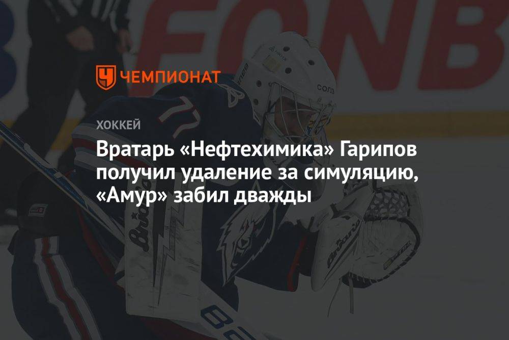 Вратарь «Нефтехимика» Гарипов получил удаление за симуляцию, «Амур» забил дважды