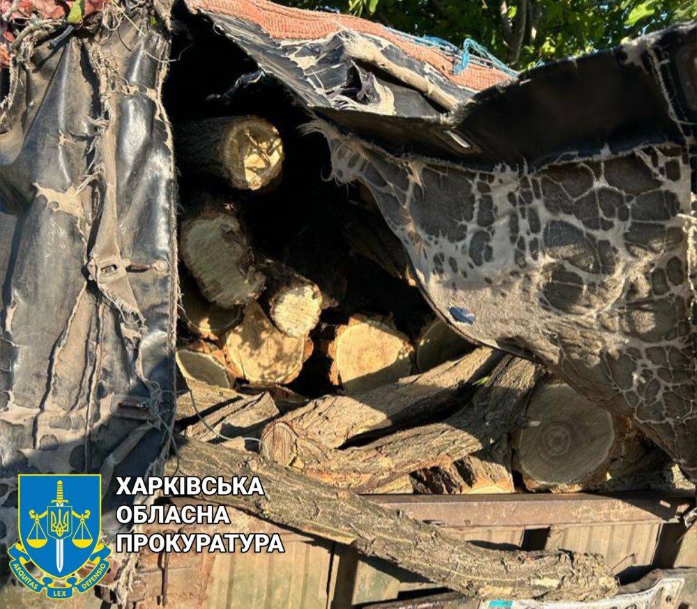 На Харьковщине «черный» лесоруб жестоко избил мастера леса: подробности