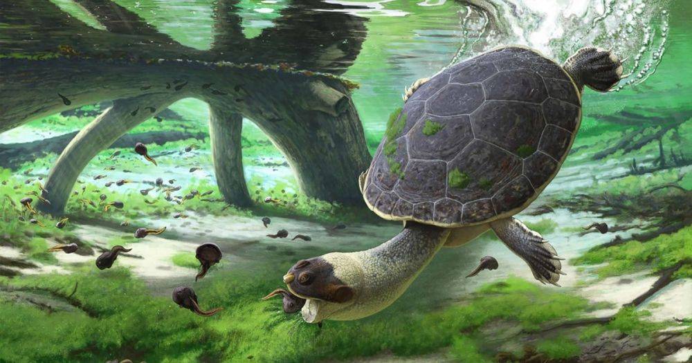 Родственница современной Тортилы: ученые нашли ДНК в останках черепахи, которой 6 млн лет (фото)