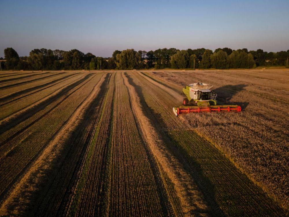 Украинские аграрии привлекли ₴49 миллиардов кредитных средств на развитие хозяйств