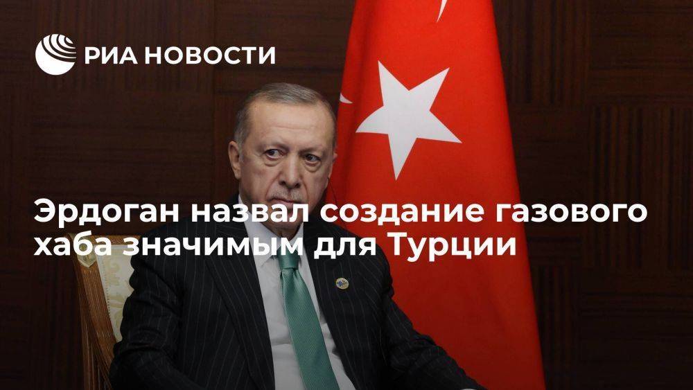 Эрдоган на встрече с Путиным назвал создание газового хаба значимым для Турции