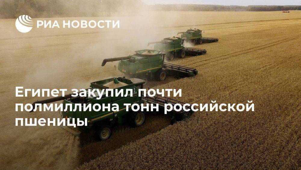 Египет закупил почти полмиллиона тонн российской пшеницы в частном порядке