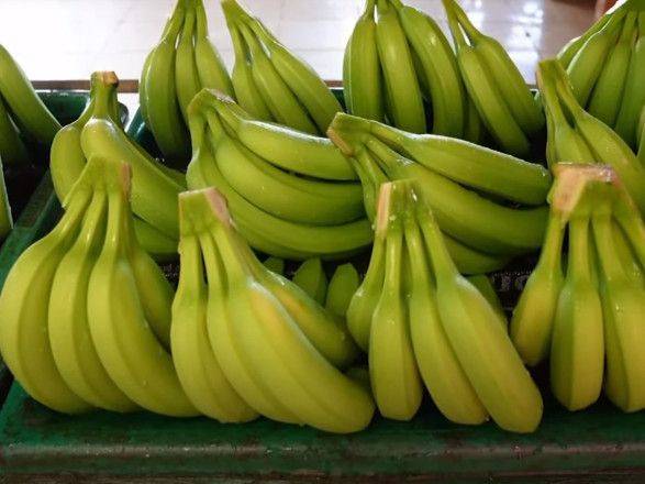 Полиция Эквадора обнаружила тонну кокаина в грузе с бананами, который направлялся в Германию