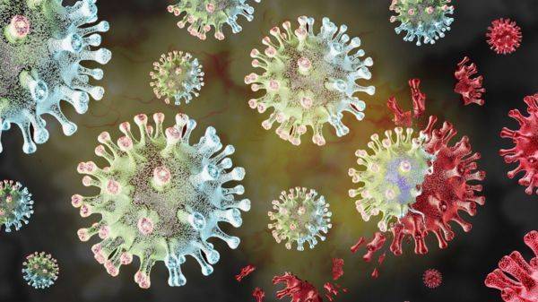 Новый вариант коронавируса «Пирола». Нужно ли его бояться?