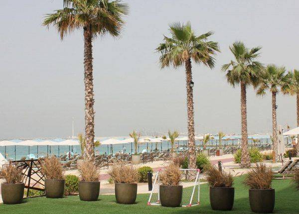 Эксперты назвали способ сэкономить на отдыхе в Дубае