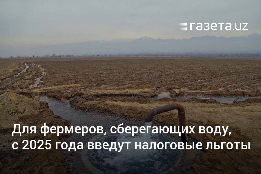 Для фермеров Узбекистана, сберегающих воду, с 2025 года введут налоговые льготы