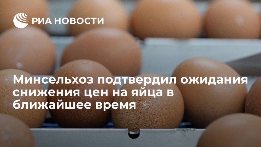 Минсельхоз подтвердил ожидания снижения цен на куриное яйцо в ближайшее время
