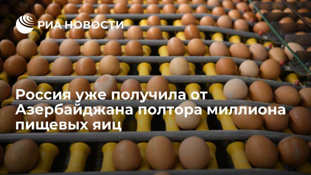 Россельхознадзор: Россия уже получила от Азербайджана 1,5 млн пищевых яиц