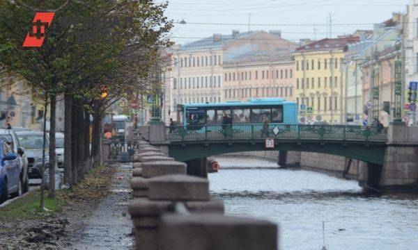 На улицы Петербурга выйдут 22 новых электробуса