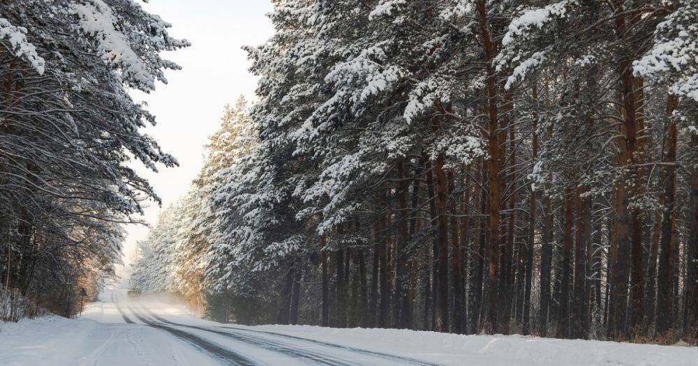 В январе в Украине будет еще две волны морозов: синоптик рассказал, когда ждать похолодания