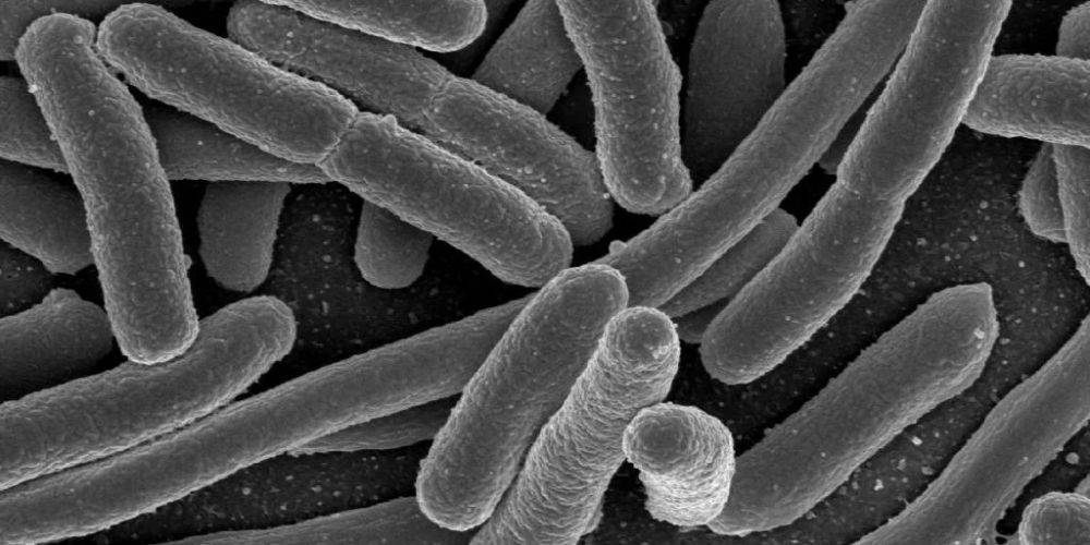 Не только антибиотики. Новое исследование обнаружило несколько причин появления супербактерий
