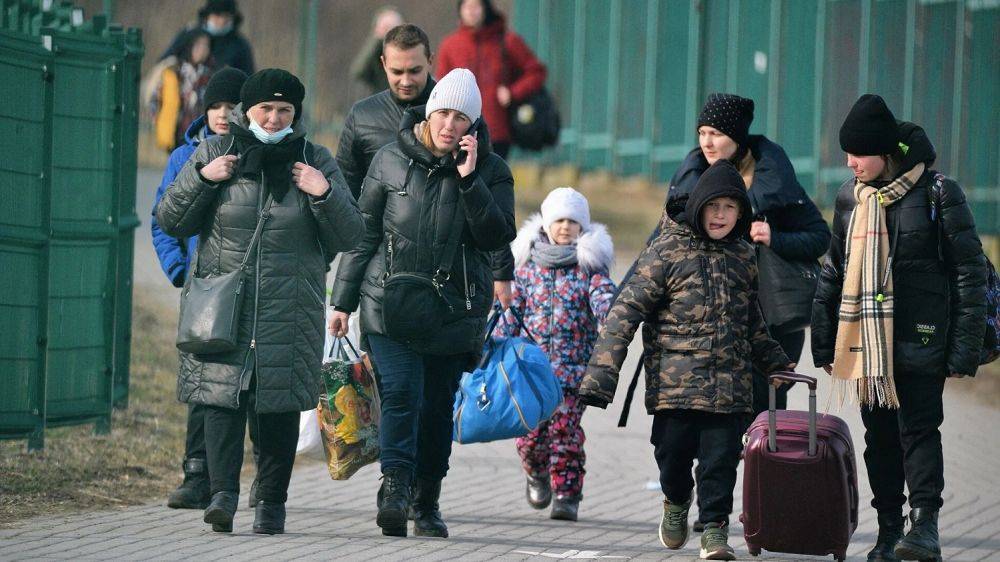 Сколько людей живет в Украине и сколько уехало - демограф Элла Либанова назвала данные на 2024 год
