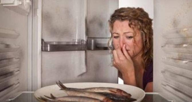 Запах лука и рыбы из холодильника исчезнет мгновенно: поможет простое копеечное средство