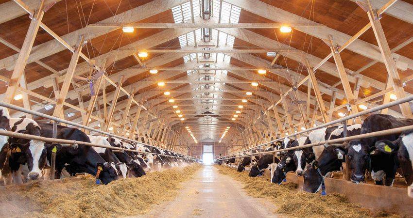 Беларусь реализует пилотный проект по строительству молочно-товарных ферм в Курской области