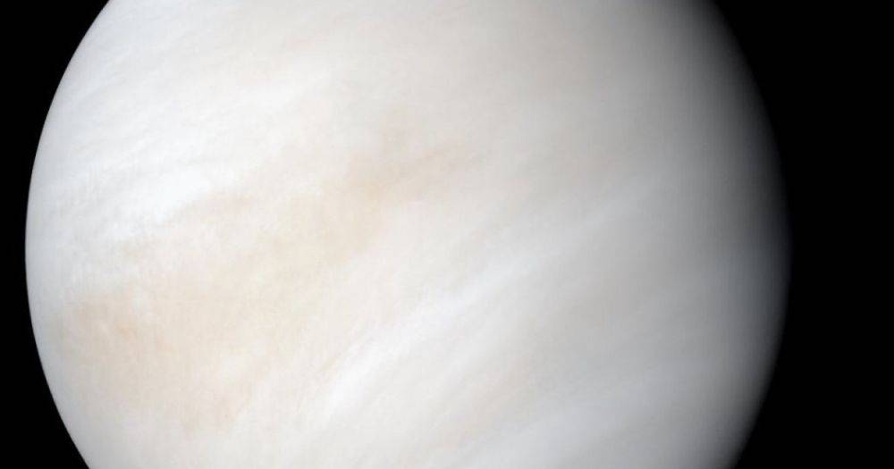 На горячей соседке Земли обнаружили нечто холодное: что нашли на Венере (фото)
