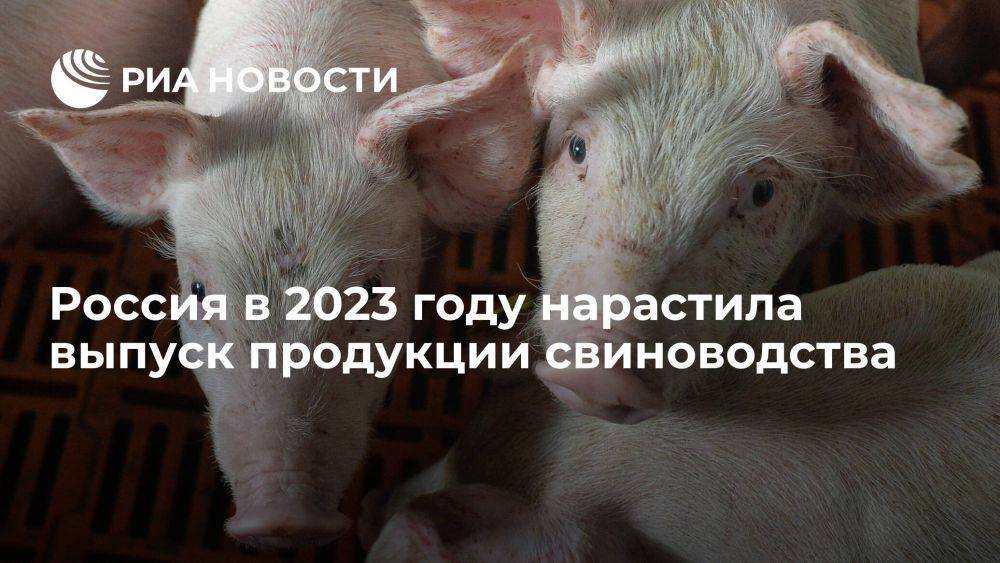 Минсельхоз: РФ в 2023 г нарастила выпуск продукции свиноводства на 6,1%