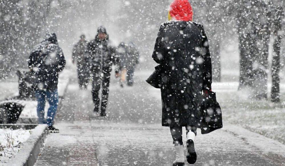 Сильные снегопады и метели в Украине - дата, когда будет серьезная непогода в январе