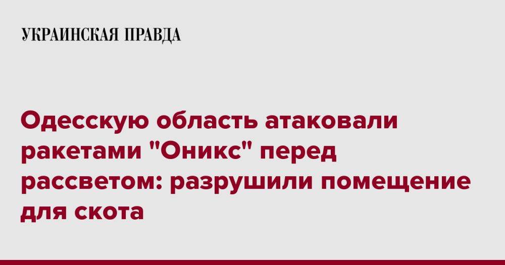 Одесскую область атаковали ракетами "Оникс" перед рассветом: разрушили помещение для скота