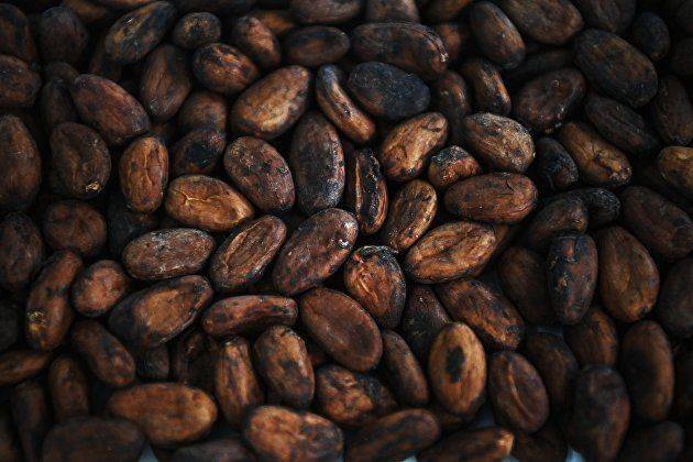 Биржевые цены на какао-бобы превысили 3760 фунтов стерлингов за тонну