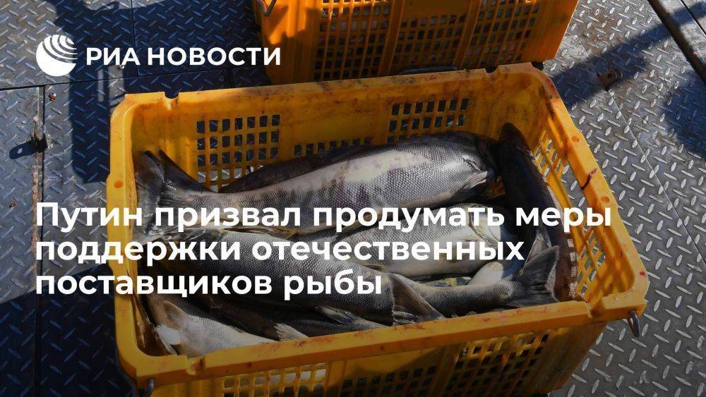 Минфин и Минсельхоз продумают меры поддержки отечественных поставщиков рыбы