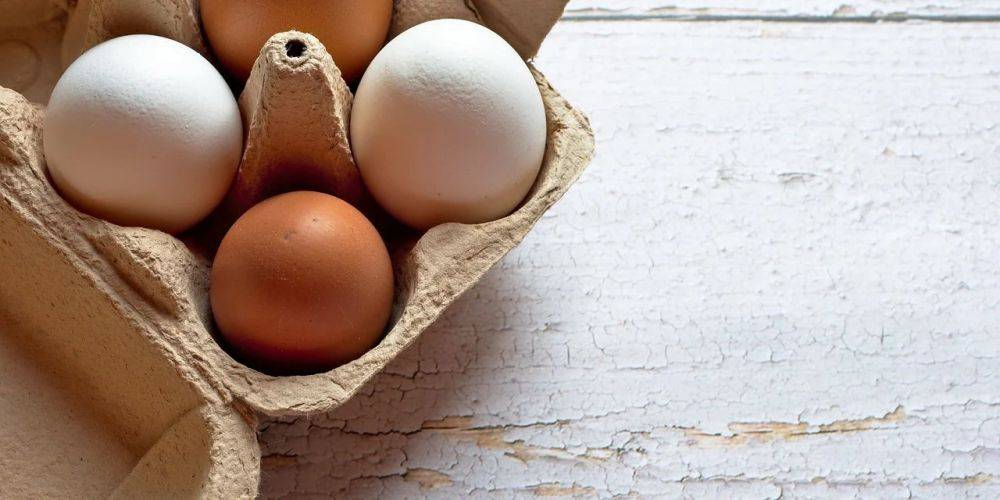 Как правильно хранить яйца, чтобы они оставались свежими долго: достаньте их из холодильника