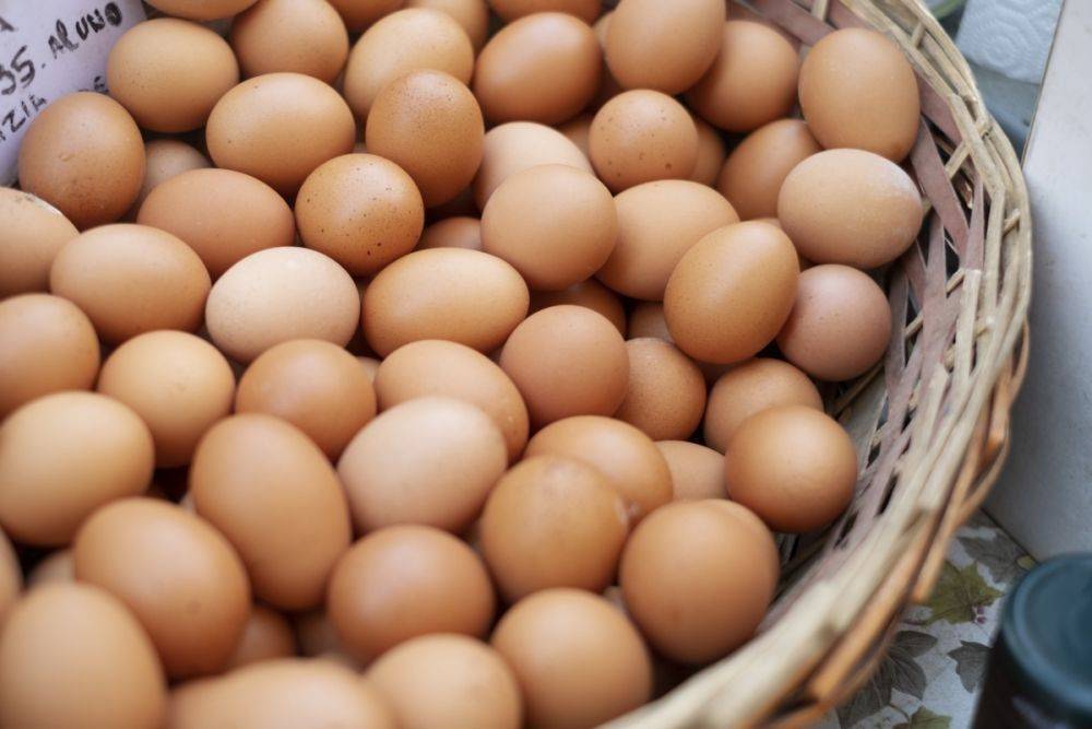 Правительство РФ обнулило пошлину на яйца на первые шесть месяцев 2024 года