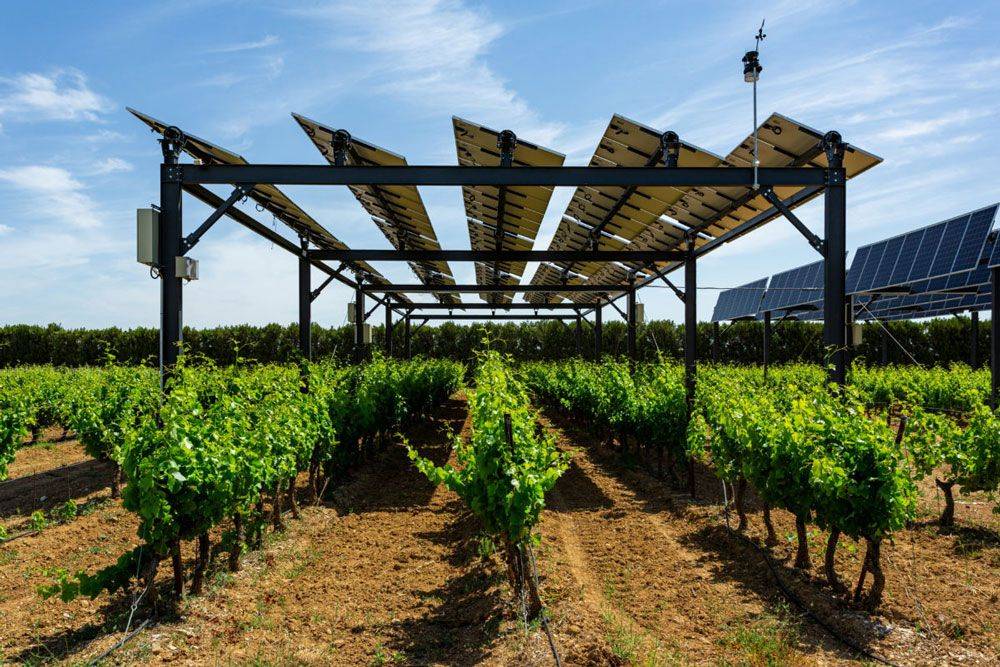 Фермеры смогут устанавливать солнечные батареи на полях для собственных нужд или продажи электроэнергии